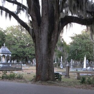 Selma cemetery